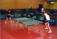 Tenis_de_mesa
