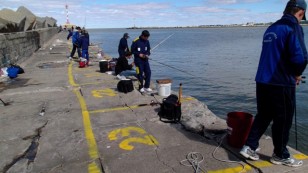 Pesca - actividad en la Escollera Sarandí 17-3-13 001