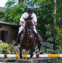 Concurso oficial de salto.