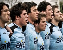 Teritos M19 arriba de Chile.