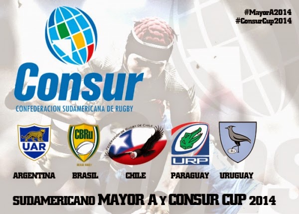 Sudamericano 2014.