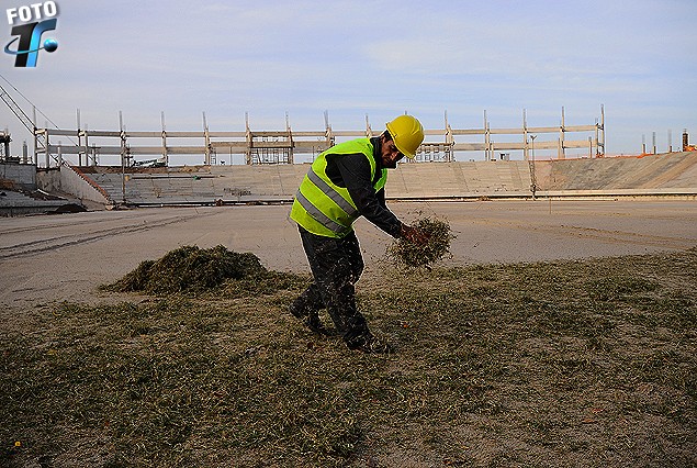 El operario extiende los estolones (césped) en la cancha del Estadio de Peñarol.